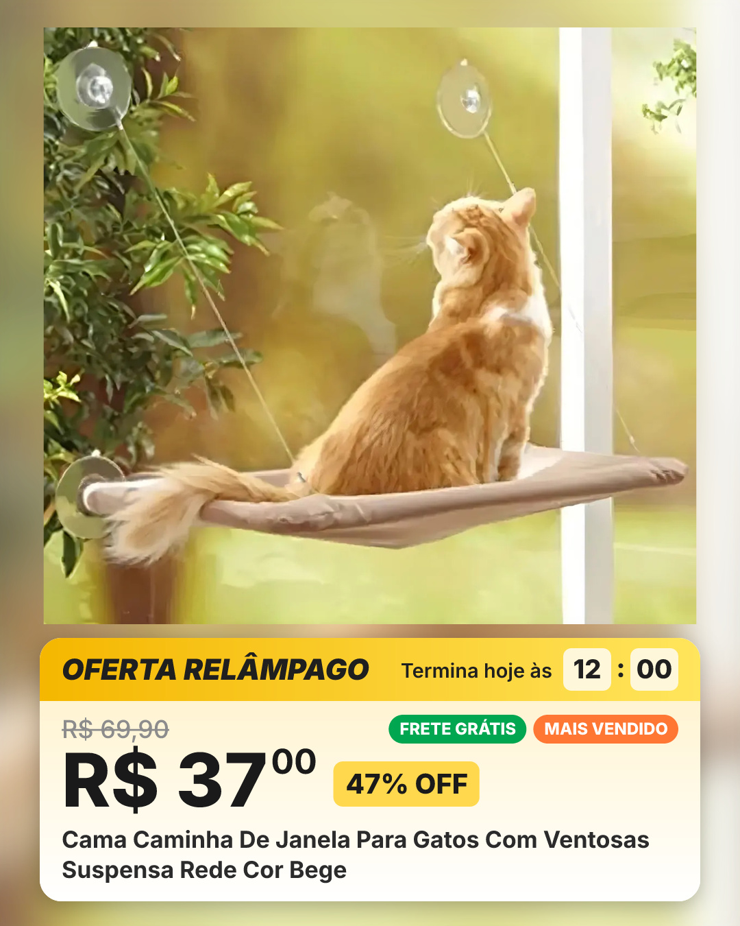 Cama Caminha De Janela Para Gatos Com Ventosas Suspensa Rede Cor Bege