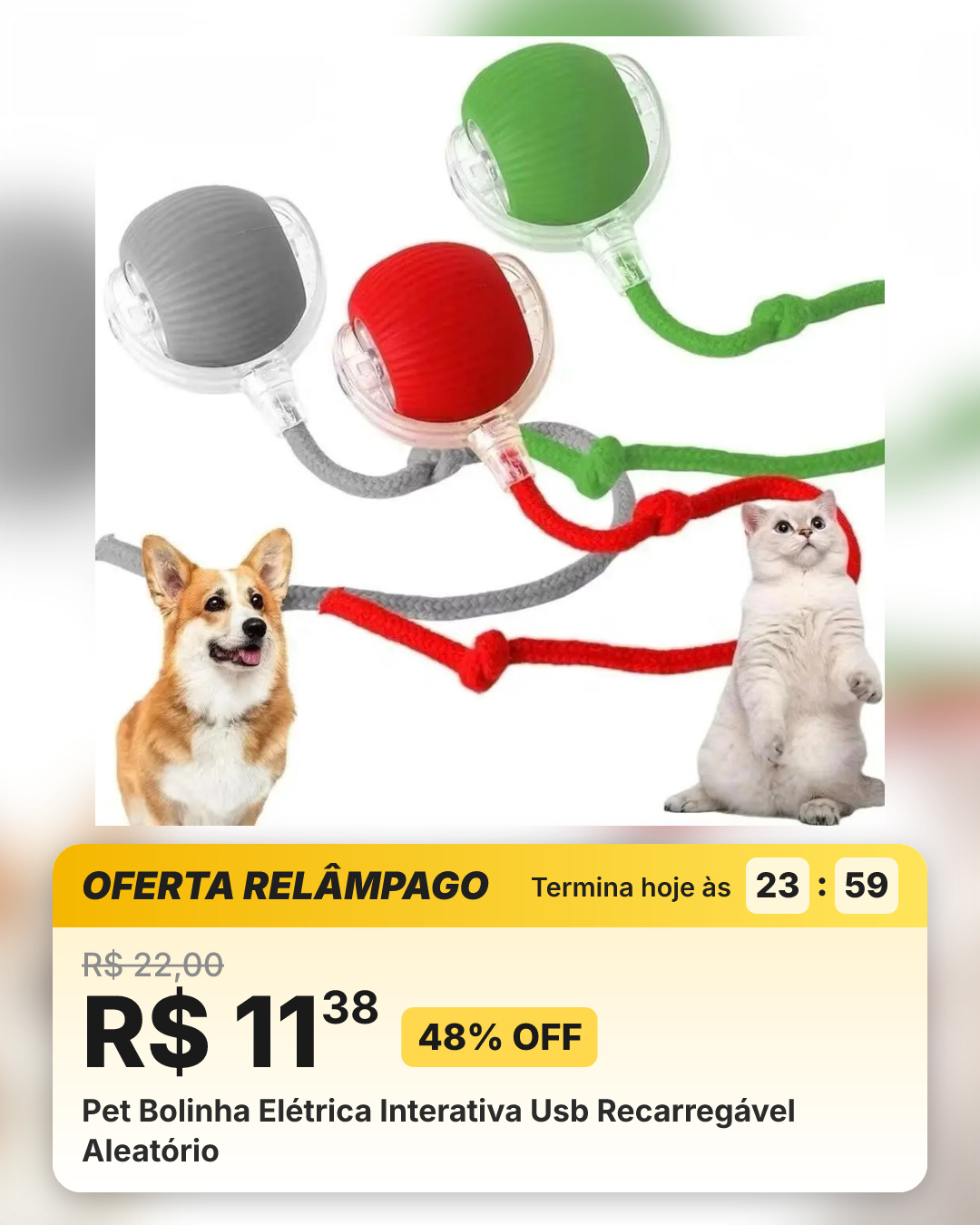 Pet Bolinha Elétrica Interativa Usb Recarregável Aleatório