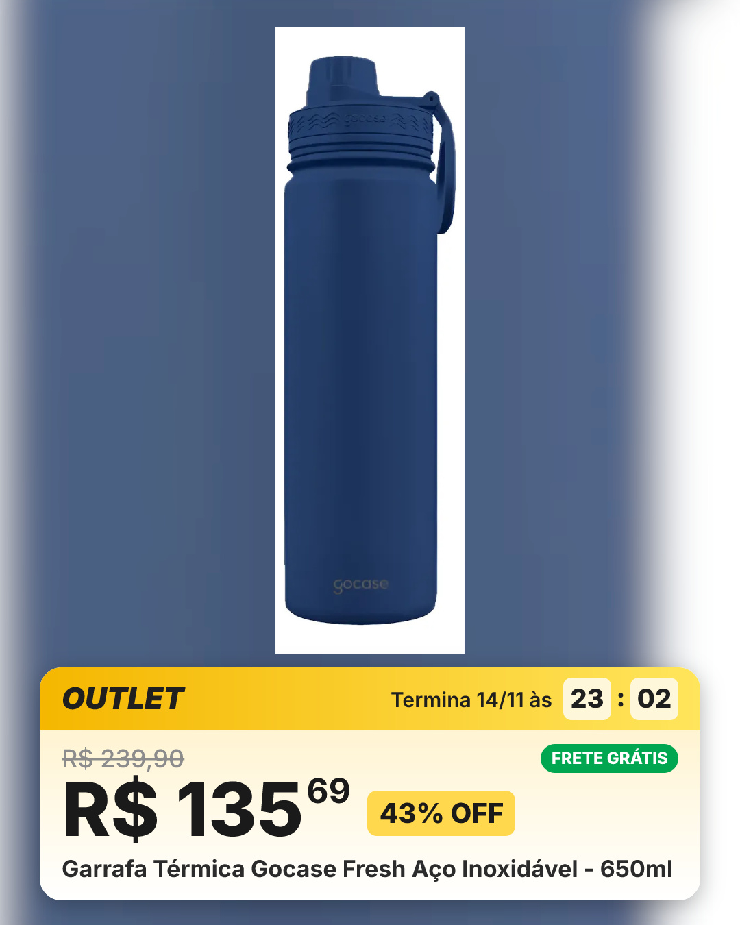 Garrafa Térmica Gocase Fresh Aço Inoxidável - 650ml