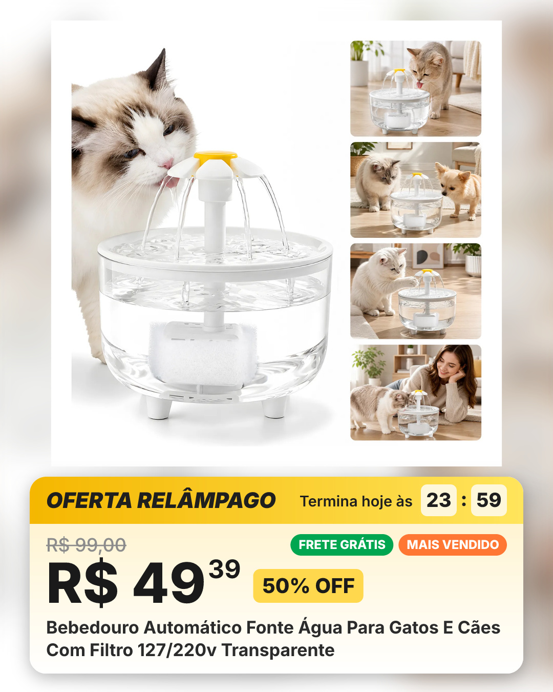 Bebedouro Automático Fonte Água Para Gatos E Cães Com Filtro 127/220v Transparente