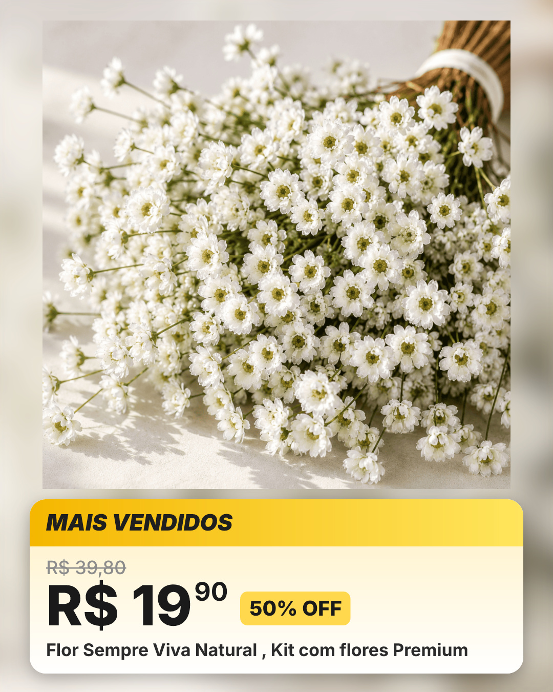 Flor Sempre Viva Natural , Kit com flores Premium